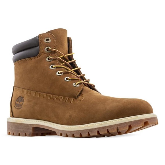 TIMBERLAND 6 INCH DOUBLE COLLAR - SHOES - MEN'S - RUST BROWN - Picture 6 of 8
